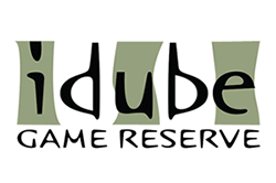 Idube Game Reserve Logo